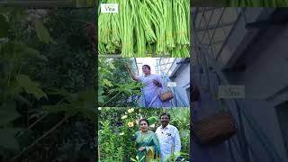 மொட்டை மாடி தோட்டத்தில் எனக்கு ரொம்ப பிடிச்ச காராமணி | Anitha Pushpavanam Kuppusamy Terrace Garden