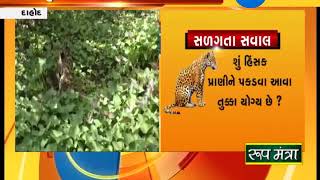 Dahod: Forest officials to sit in cage with air guns to combat leopard attacks