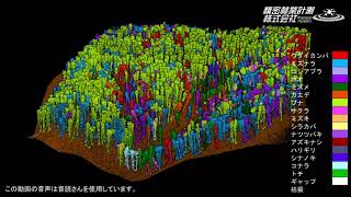 広葉樹天然林を対象にした単木区分と樹種分類