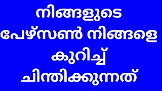 💥👍💯നിങ്ങളുടെ പേഴ്സൺ നിങ്ങളെ കുറിച്ച് ചിന്തിക്കുന്നത്#tarotmalayalam #tarotreading #truefeeling