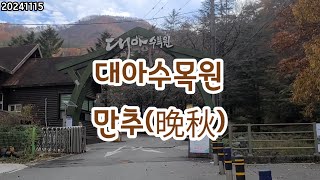 대아수목원 만추(晩秋) 완주군 동상면