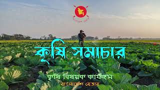 কৃষি সমাচার।।Krishi Somachar।। ১৫ নভেম্বর, ২০২৪