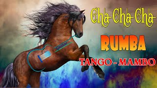 Cha Cha - Rumba - Tango - Mambo | The Best Beautiful Relaxing Instrumental Music | Guitarra Melodies