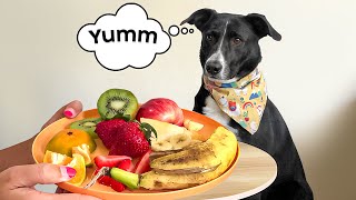 Pup vs. Fruits: Funny Ultimate Taste Test!