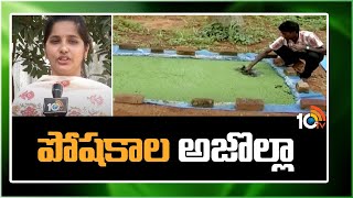 Azolla Cultivation Methods | పోషకాల అజొల్లా | Matti Manishi | 10TV News