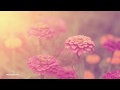 Beautiful Piano Music @432Hz ❯ Relaxing Music ❯ Beautiful Soft Soothing Music