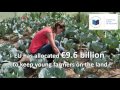 support for young farmers must be better targeted say eu auditors