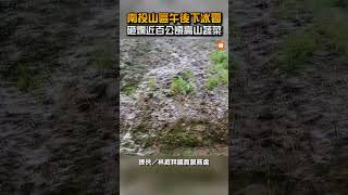 【生活】南投山區午後下冰雹 砸爛近百公頃高山蔬菜