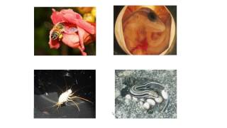 Why Study Biology at ETSU