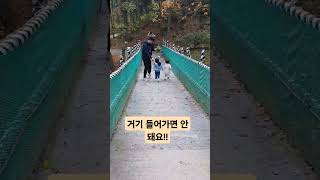 거기 들어가면 안돼요!! #shorts