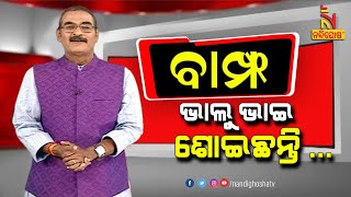 BAMPHA | Episode 208 | Part-1 | ଭାଲୁ ଭାଇ ଶୋଇଛନ୍ତି .. | NandighoshaTV