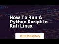 how to run a python script in kali linux