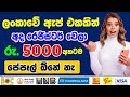 පේපෑල් නැතුව බැංකුවටම සජීවීව | Sri Lanka best online platform | Emoney Sinhala | make money online