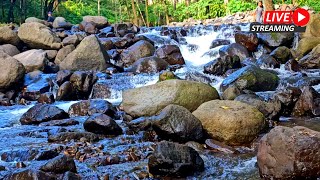 NATURAL WATER SOUNDS AND CHIRPING BIRDS CREATE THE PERFECT AMBIENCE FOR DEEP, PEACEFUL SLEEP.