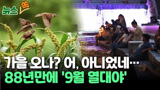 [뉴스쏙] '잠 못 이루는 밤' 이유 있었네...88년 만에 서울은 '9월 열대야' / 연합뉴스TV (YonhapnewsTV)