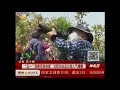 “五一”假期完美收尾，沈阳长白岛公园人气爆棚