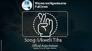 FM Academia - Ukweli Tiba (Official Audio)