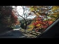 20211119 佐賀県 有田市紅葉巡り① 竜門峡