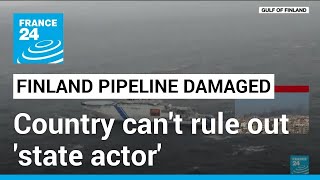 Finland can't rule out 'state actor' involvement in pipeline damage • FRANCE 24 English