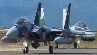 航空自衛隊 アグレッサー部隊 vs 305SQ梅組 in 新田原基地 2020/2/17(月) 午前 1stミッション