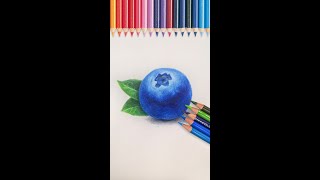 【彩鉛教學】彩鉛保姆級教程蓝莓的畫法丨color pencil drawing