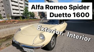 ‘67 Alfa Romeo Spider Duetto 1600 exterior interior 優美なデザインの車をぜひみてください！