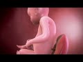 your baby at 28 weeks week by week pregnancy madeformums