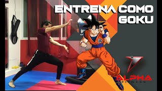 ENTRENA COMO GOKU Y VUÉLVETE MÁS FUERTE - Entrenamiento Guiado para todas las edades.