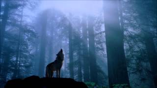 1 Hour Native American Flute & Acoustic Guitar Music for Meditation of Wolf Spirit