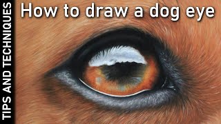 HOW TO DRAW A DOG EYE IN PASTELS
