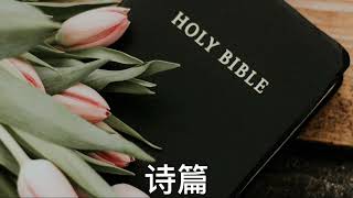 Chinese Traditional Audio Bible - 中文音頻聖經 - 诗篇 (完全的) - 聖經當代譯本修訂版 (CCB)