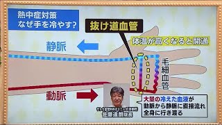 ポイントは手のひら？【キニナル・熱中症予防】湿度が高い日や屋内でも要注意　警戒情報も参考に (22/08/06 06:00)