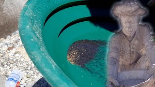 Gold Prospectors Panning Rich GOLD bearing dirt!