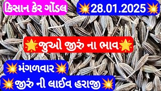 આજના જીરુ ના ભાવ | જીરુ ના ભાવ | જીરુ નો ભાવ jeera na bajar bhav | Gondal marketing yard 28-01-2025