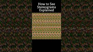 How to See Stereograms #opticalillusions #tips #stereogram #magiceye #mushroom #cute #3d