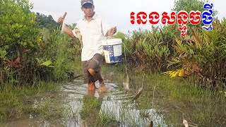 សន្ទូចរនងថ្មី Fishing Trap With Line Multiple Knots Style/Bong LaorTV