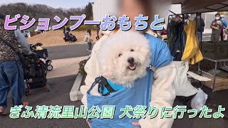 【Vlog】ビションプーおもちとぎふ清流里山公園の犬祭りに行きました！