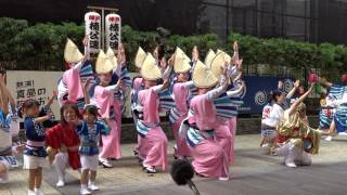 徳島県人会神戸楠公連‐②／熱演！真昼の阿波おどり2016／徳島市阿波おどり2016