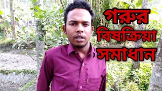 ★গরু বিষক্রিয়া করে কেন?★খামারে|গরুর বিষক্রিয়া| রোগের চিকিৎসা|ও প্রতিরোধ√√|কৃষি সহায়ক√√|