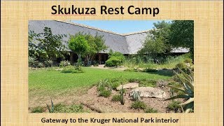 Skukuza Rest Camp, Kruger National Park, South Africa.