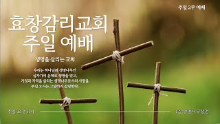 20250126 [주일예배] I 방주 (창세기 6장 9~22절) | 김정만 목사