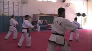 HKD JULIO 2013 - Hapkido / Hankido / Hankumdo