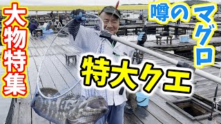 海上釣堀水宝で釣れる大型魚特集。青物から最近注目のマグロまで一気見できます！！