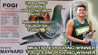 1,200 LANG LAGE ALAM NA SPEED NG IBON NIYA..😱 | MULTIPLE POOLING WINNER..TAG TEAM POOLING WINNER..🏆