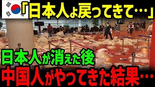 【海外の反応】K国の観光地から日本人の姿が消えた？代わりに押し寄せてきたのは…【グレートJAPANちゃんねる】