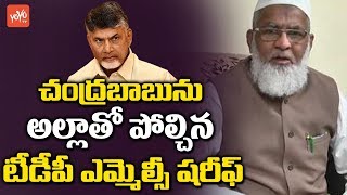 TDP MLC Sharif Controversial Comments | Chandrababu | AP Politics | YOYO TV Channel