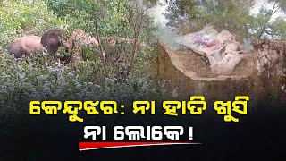 କେନ୍ଦୁଝର: ନା ହାତି ଖୁସି ନା ଲୋକେ!