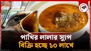 পাখির লালার স্যুপ বিক্রি হচ্ছে ১০ লাখ টাকায় | Expensive Bird's Nest Soup | Kalbela