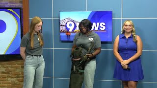 Animal shelter hosting $5 Fridays to get more animals into forever homes