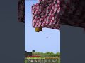 abeja meme XD  #minecraft #minecraftmemes #memes #humor #fyp #yorgen27